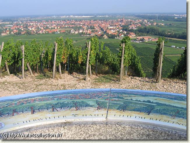 Diapositive suivante